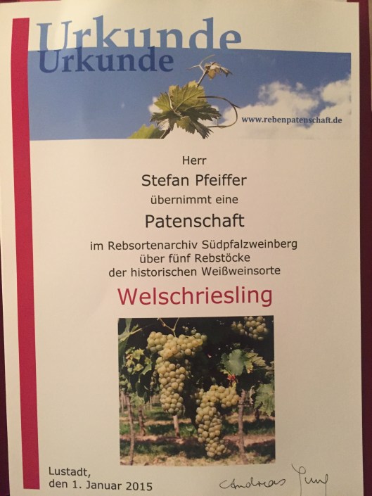 Das Rebsortenarchiv Südpfalzweinberg pflegt alte Rebsorten und bietet Patenschaften an.