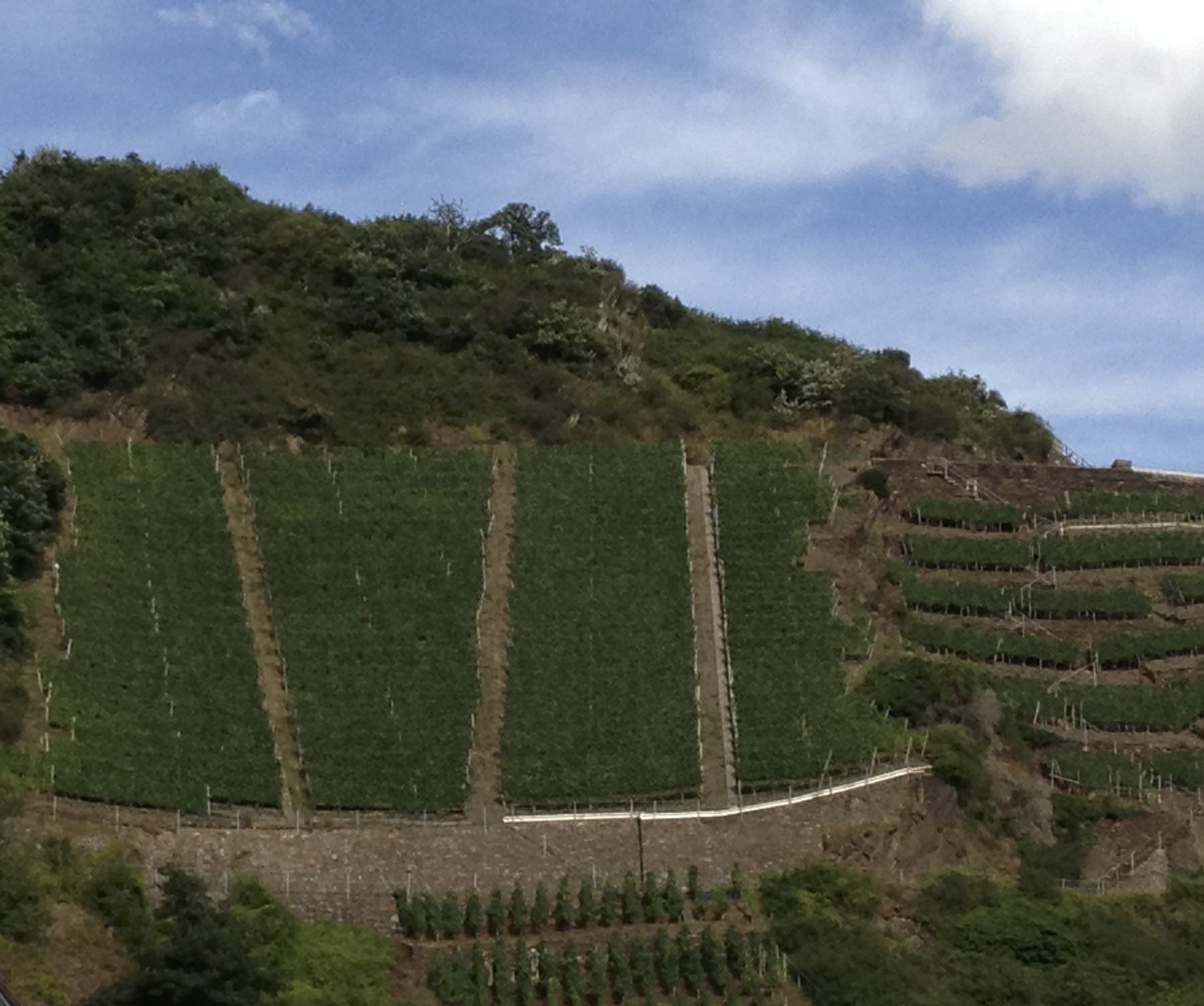 Ein Foto vom letzten Besuch an der Ahr.