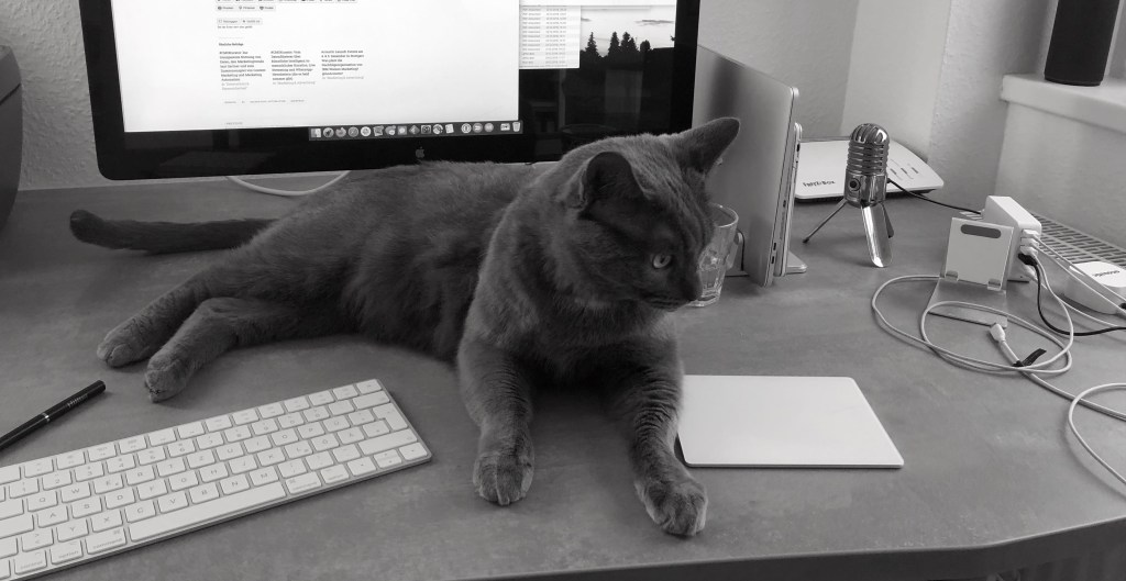 Cat Content oder die wahren Autoren des Block