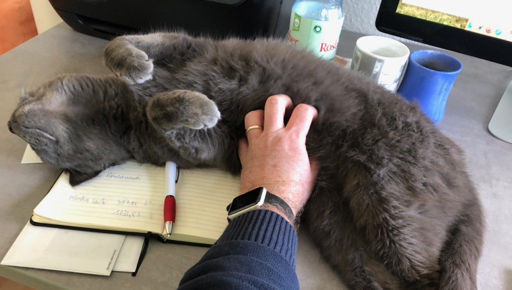 #HomeOffice-Splitter (mal ernst, mal weniger): Ausge-zoom-t (?“!), Regeln bei Videokonferenzen und Homeoffice laut #ChartersOfTrust