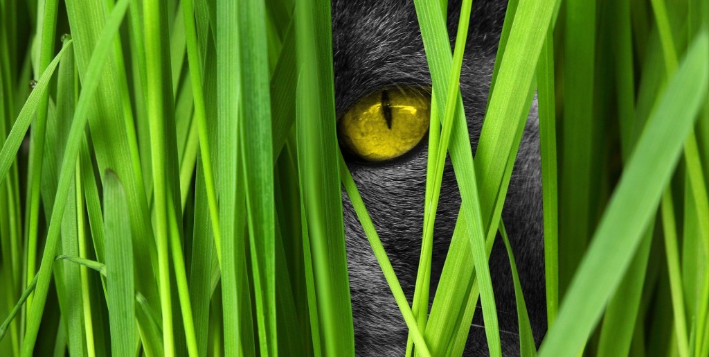 Graswurzelinititaiven aus der Mitte des Unternehmens – #9vor9 mit Sabine und Alexander&nbsp;Kluge