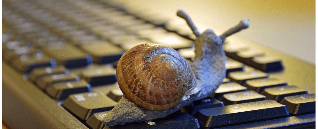 Lesezeichen: Die Schnecke kriecht durch die&nbsp;Glasfaser