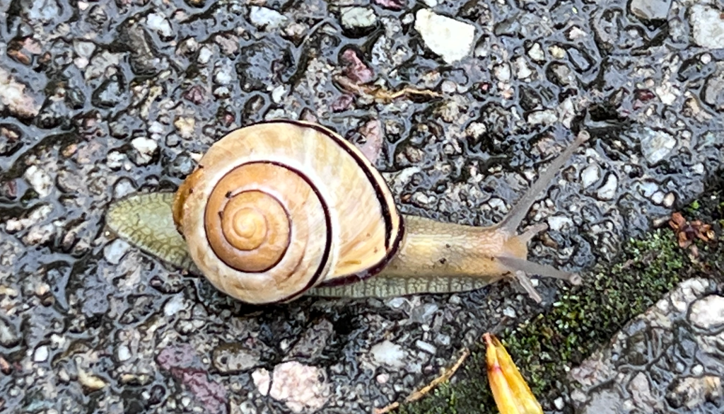 Muskulatur und Kondition wieder aufbauen statt #Dontbreakthechain