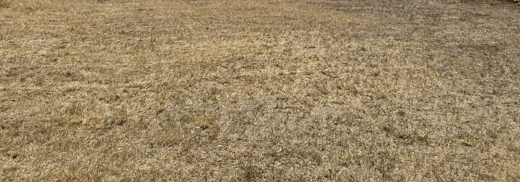 Heiße Luft nicht nur am Bodensee, TikTok, Xing und das Ende von Wachstum um jeden&nbsp;Preis?