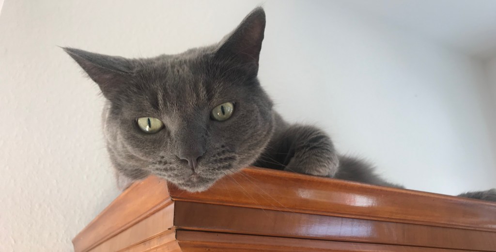 Pünktchen ist auf leisen Pfoten gegangen